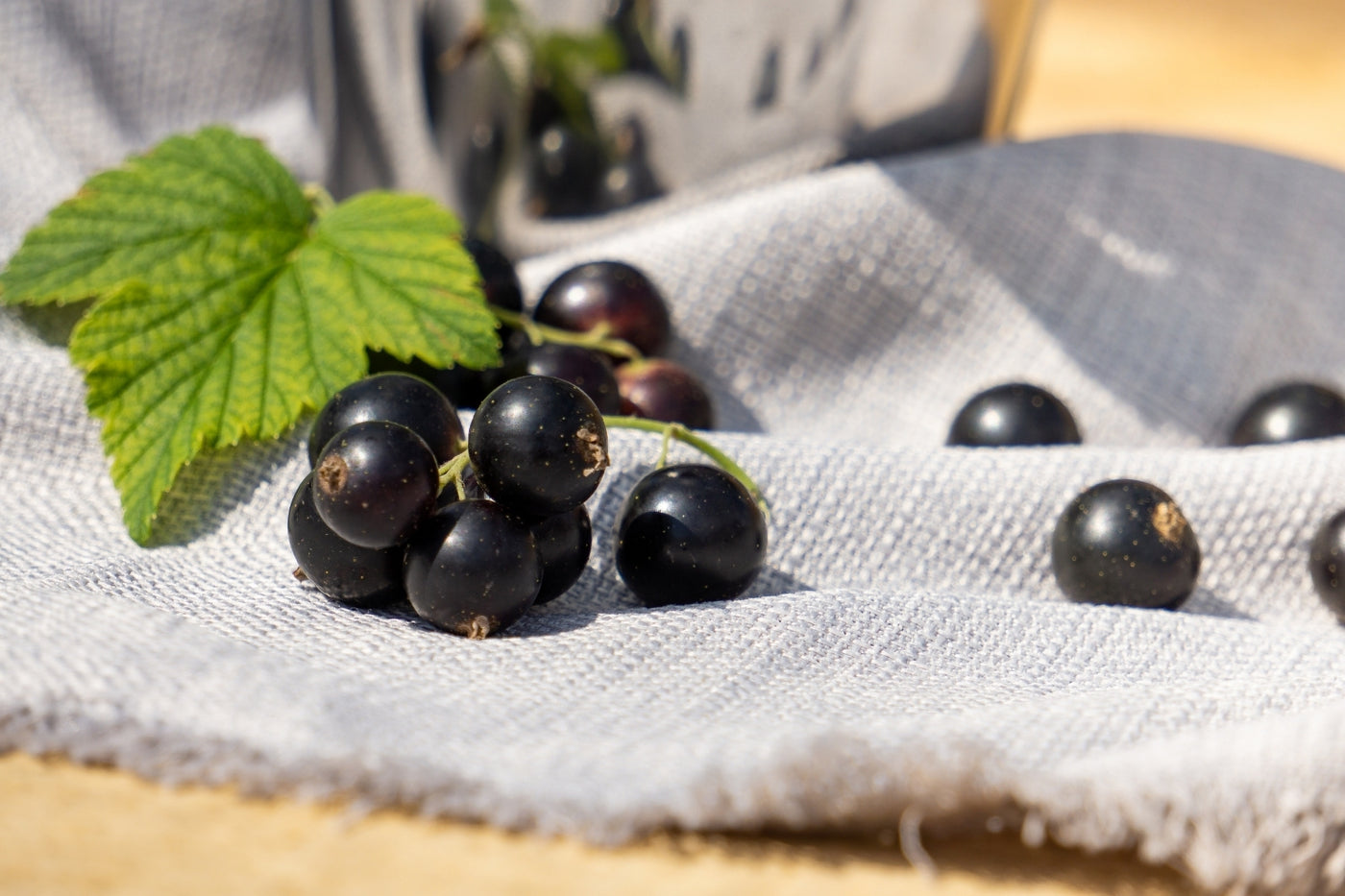 Looking to get in shape? Blackcurrants can help!