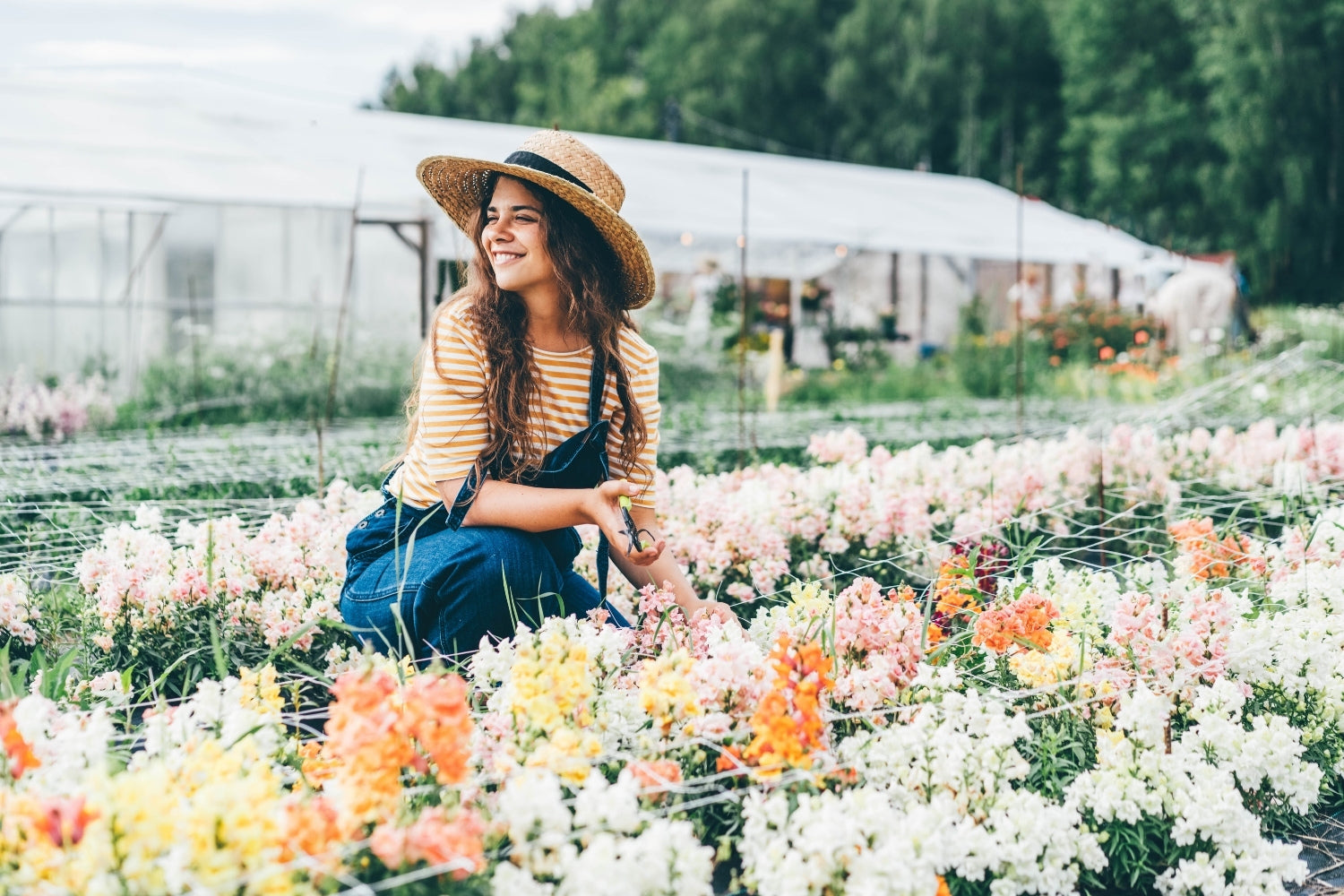 Our favourite things.